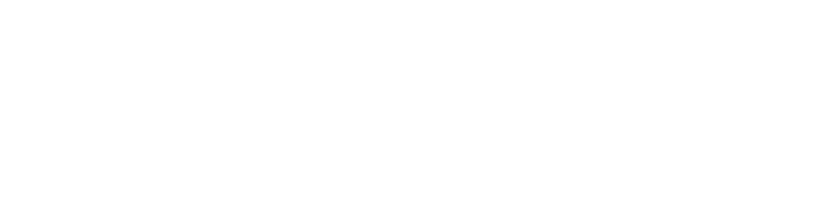 Lider Trafik